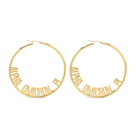 Hoop Design Earrings