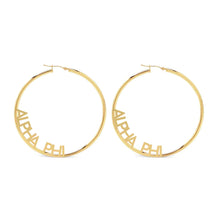 Hoop Design Earrings