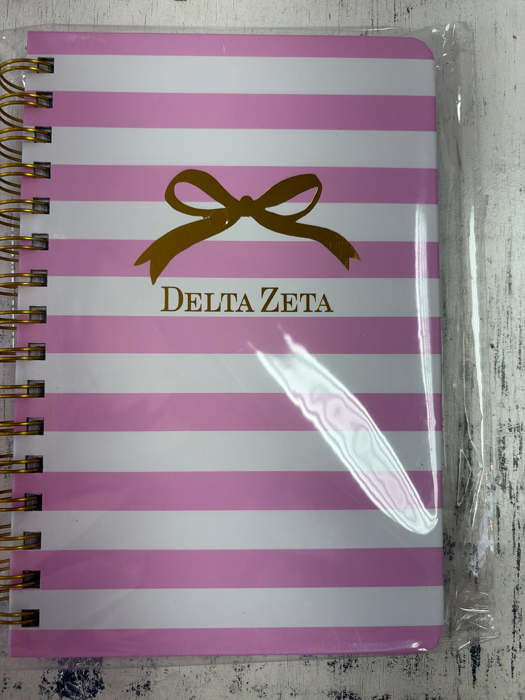 Spiral Journal- Delta Zeta