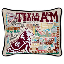 Embroidered Pillow- A&M