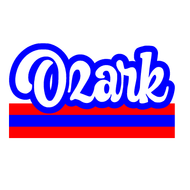 Retro Stripe Camp Tee- Ozark