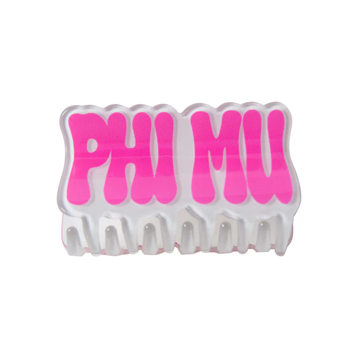 Retro Hair Clip- Phi Mu