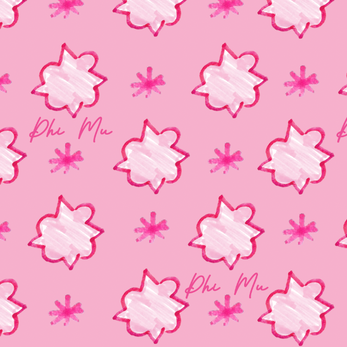 Iconic Cosmetic Bag-Phi Mu