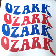 Retro Wave Camp Tee- Ozark