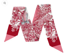 Arkansas Skinny Scarf